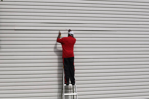 Best Stucco Siding  in Tonto Basin, AZ