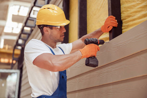 Best Aluminum Siding Installation  in Tonto Basin, AZ