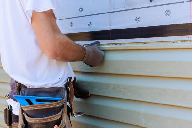 Best Custom Trim and Detailing for Siding  in Tonto Basin, AZ
